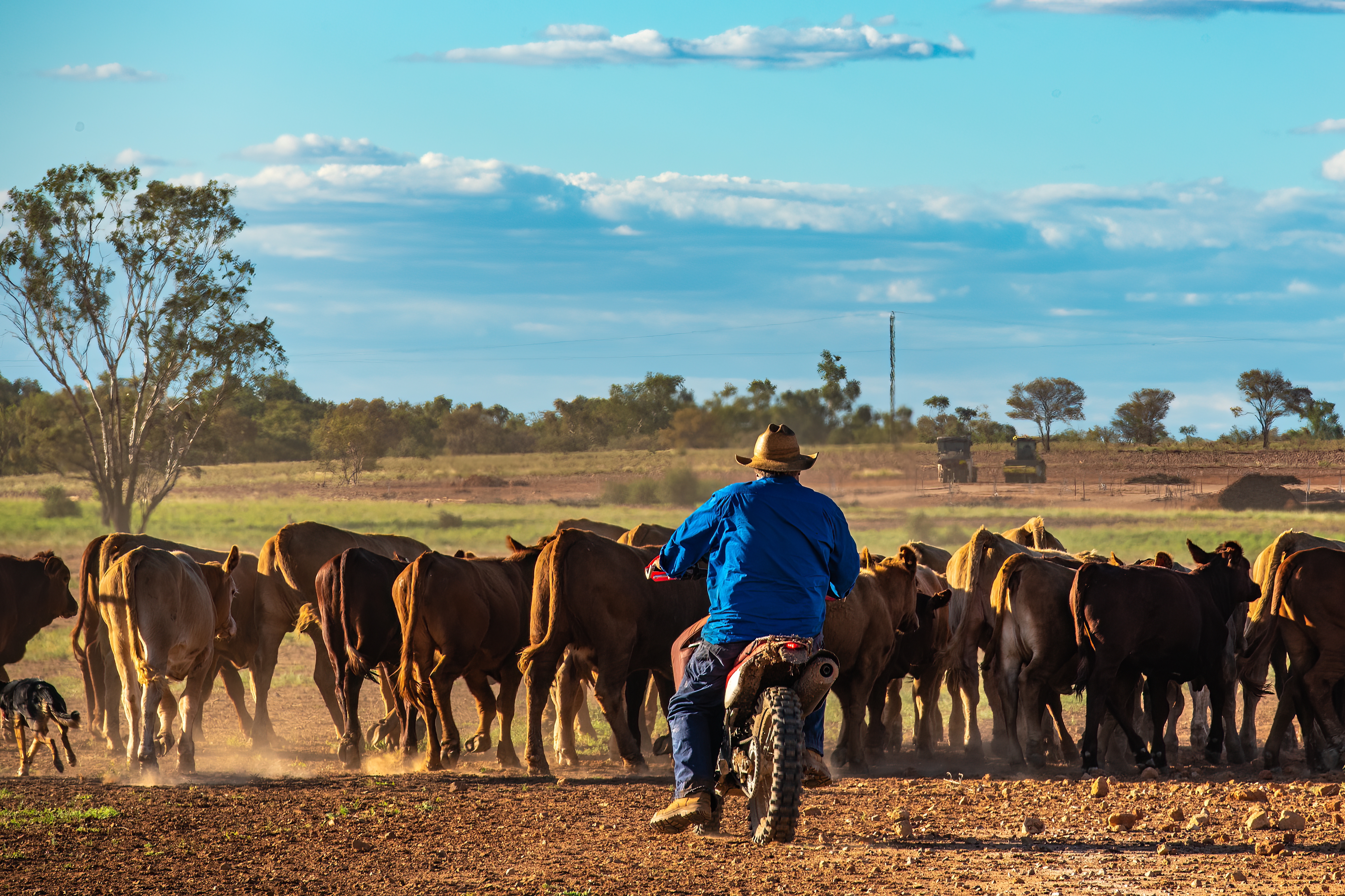 It’s the Principle of the Matter: Smart Strategies for Managing Principal Repayments in Agriculture